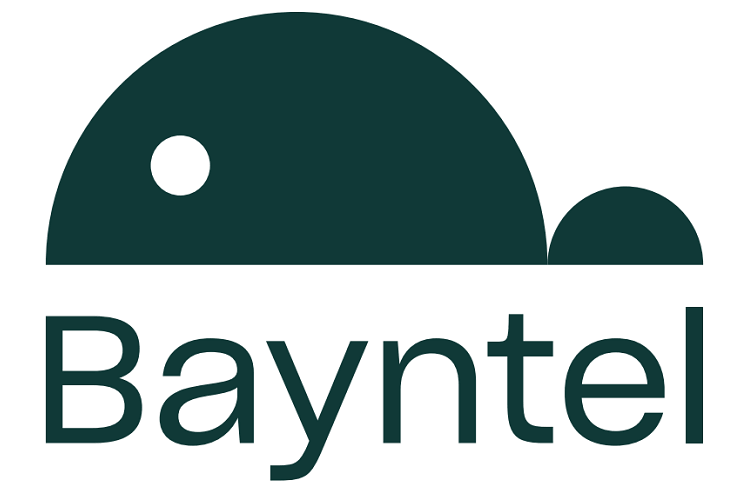 Bayntel
